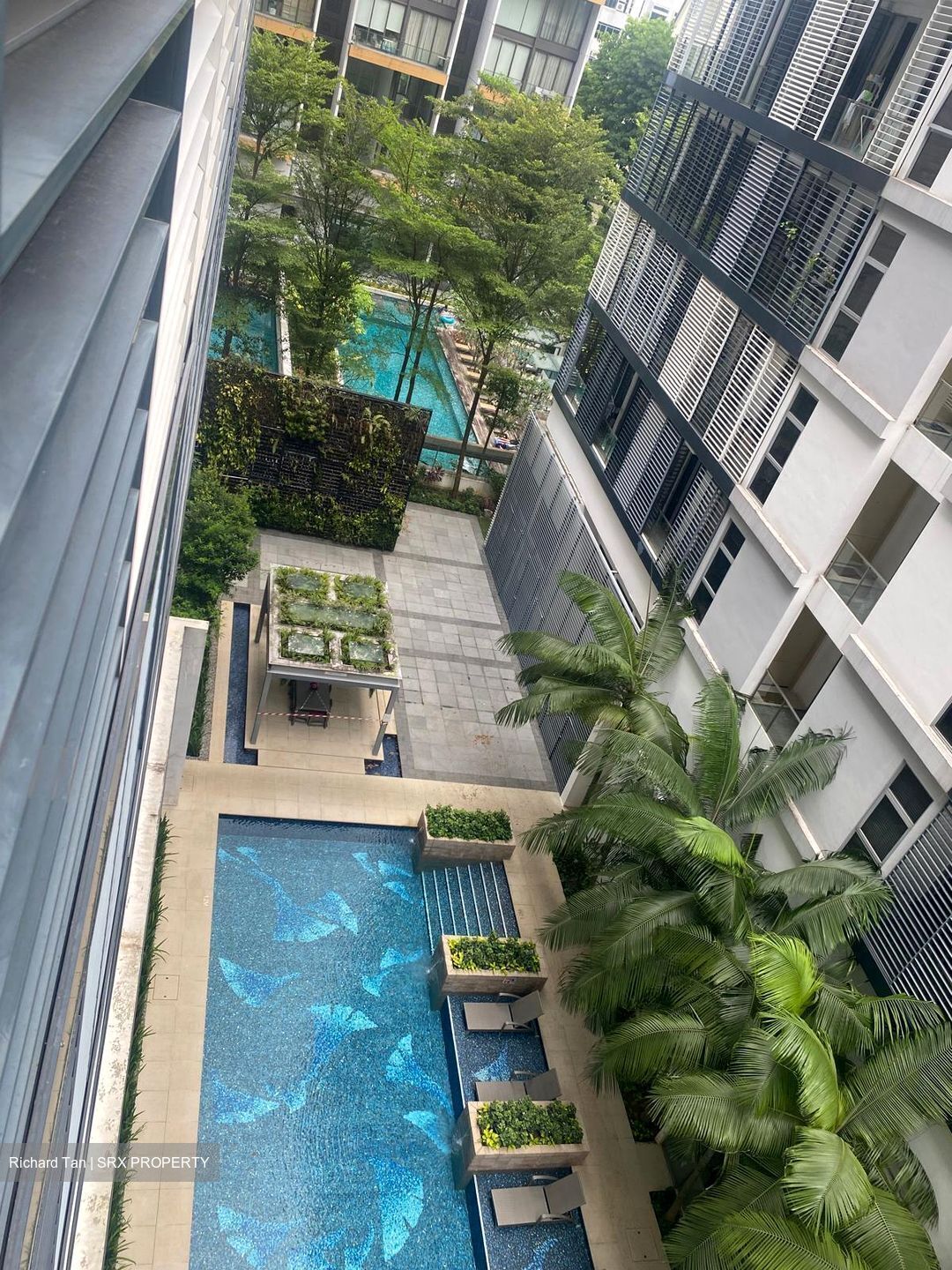 The Boutiq (D9), Apartment #545241191